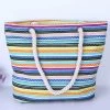 Multi Color Striped Zip Hand Bag