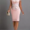 Light Pink Lace Short Sleeve Bodycon Dress