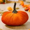Orange Pumpkin Print Halloween Design Decoration